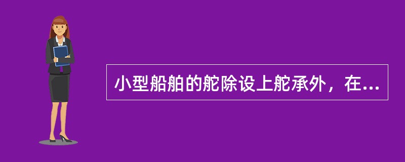 小型船舶的舵除设上舵承外，在舵叶的底部装有一个（）