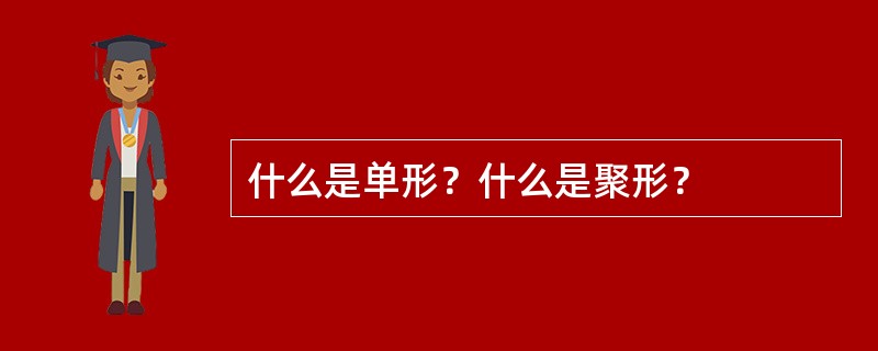 什么是单形？什么是聚形？