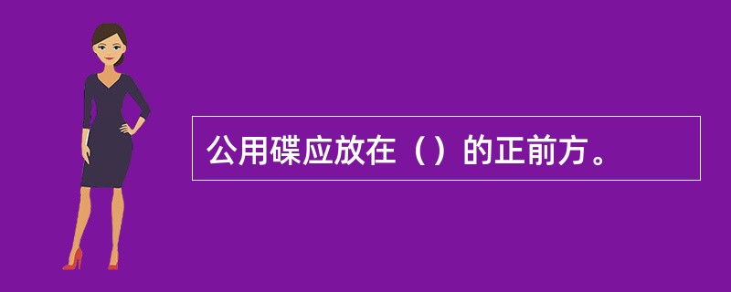 公用碟应放在（）的正前方。