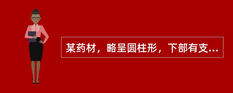 某药材，略呈圆柱形，下部有支根3～5条或更多。表面黄棕色至棕褐色，具纵皱纹及横长