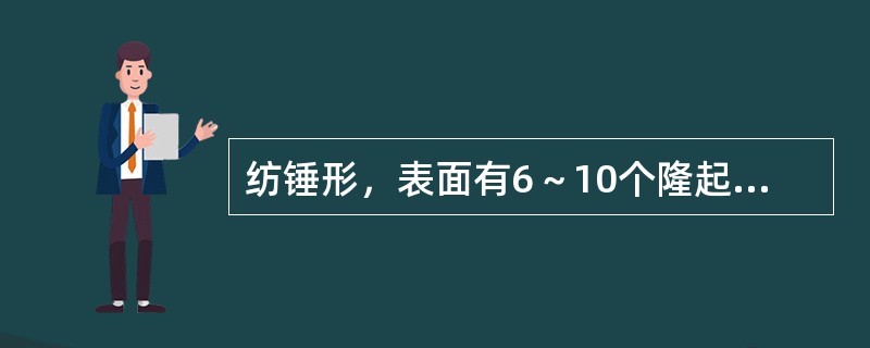 纺锤形，表面有6～10个隆起的环节的药材是（）