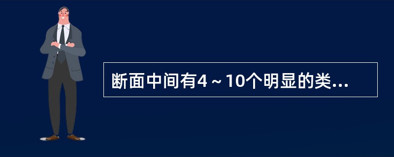 断面中间有4～10个明显的类白色点状维管束排列成环，中央灰黑色，味极苦的饮片是（