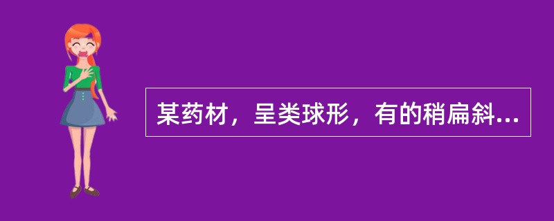 某药材，呈类球形，有的稍扁斜，直径1~1.5cm。表面白色或浅黄色，顶端有凹陷的