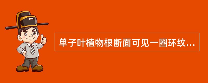 单子叶植物根断面可见一圈环纹为（）