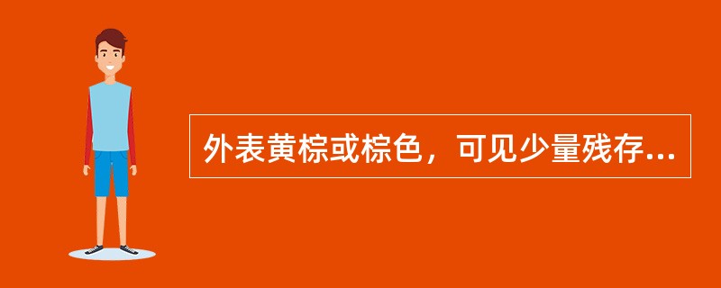 外表黄棕或棕色，可见少量残存的黄棕色叶基纤维或是凹陷的点状根痕饮片是（）