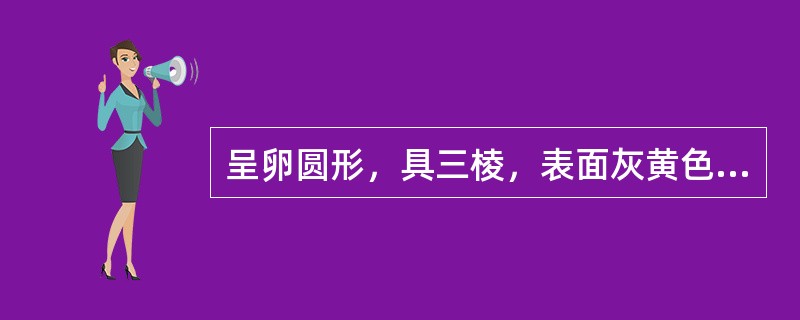 呈卵圆形，具三棱，表面灰黄色或稍深，粗糙，有纵线6条，内有三室，每室一粒种子，有