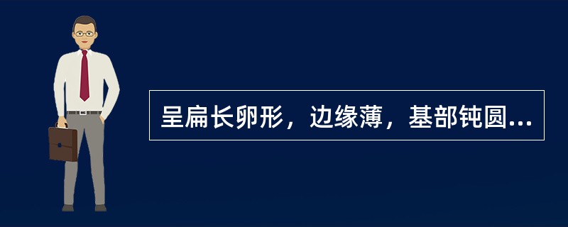 呈扁长卵形，边缘薄，基部钝圆而扁斜，表面黄棕色至红棕色、密布颗粒状的药材是（）