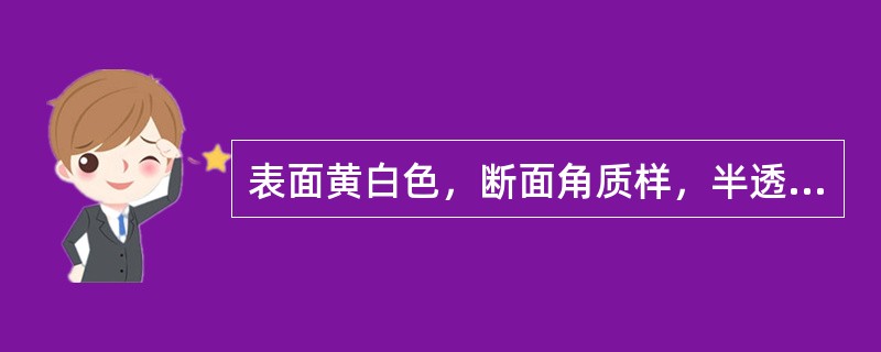 表面黄白色，断面角质样，半透明，味甜的药材是（）