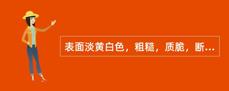 表面淡黄白色，粗糙，质脆，断面皮部浅黄白色，木部黄色，气特异的药材是（）