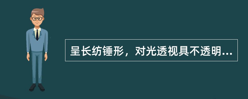 呈长纺锤形，对光透视具不透明木心的是（）