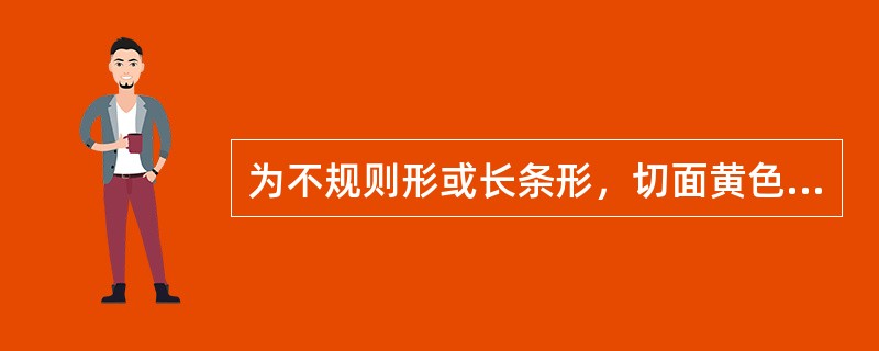 为不规则形或长条形，切面黄色，外表可见横向环纹，味苦，微辛的是（）