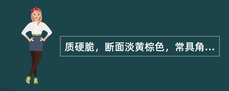 质硬脆，断面淡黄棕色，常具角质样光泽，嚼之略黏牙的是（）