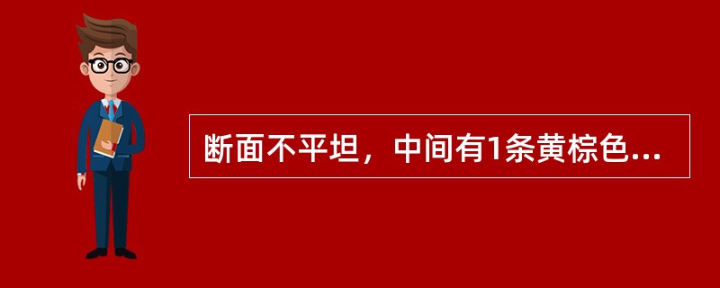 断面不平坦，中间有1条黄棕色线纹的中药材是（）