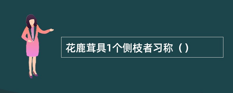 花鹿茸具1个侧枝者习称（）