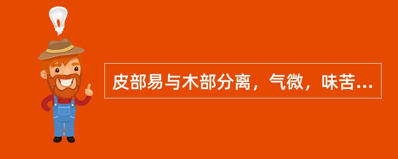 皮部易与木部分离，气微，味苦，微辛，嚼之有刺喉感的是（）