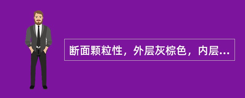 断面颗粒性，外层灰棕色，内层紫褐色或棕色，有油性，有的可见多数小亮星的中药材是（