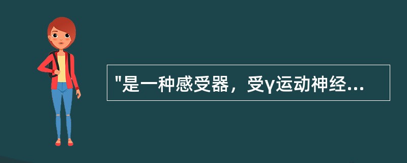"是一种感受器，受γ运动神经元支配，肌肉收缩时被缩短"属于（）