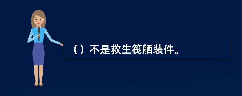 （）不是救生筏舾装件。