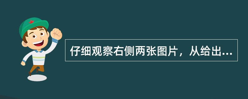 仔细观察右侧两张图片，从给出的图片信息可知（）。