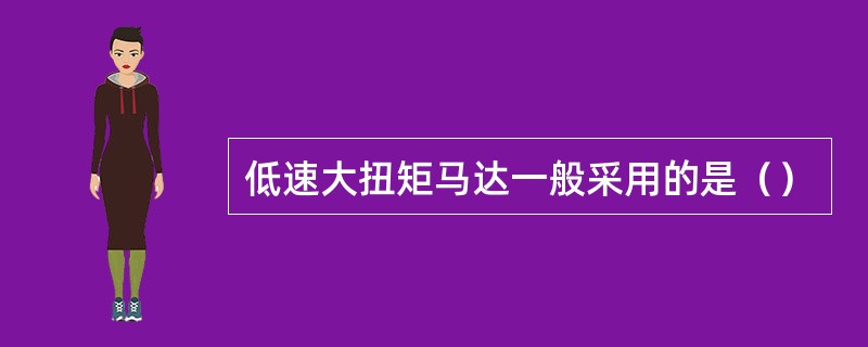 低速大扭矩马达一般采用的是（）