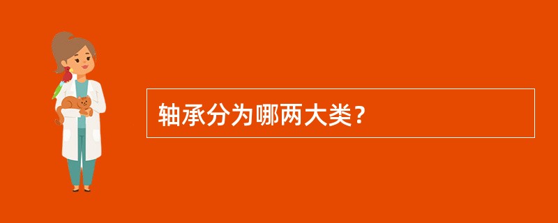 轴承分为哪两大类？