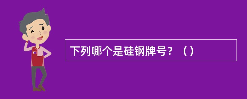 下列哪个是硅钢牌号？（）