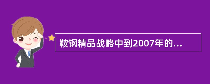 鞍钢精品战略中到2007年的目标中提到几大系列产品（）？