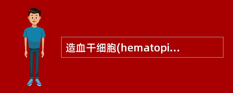 造血干细胞(hematopietic stem cell)
