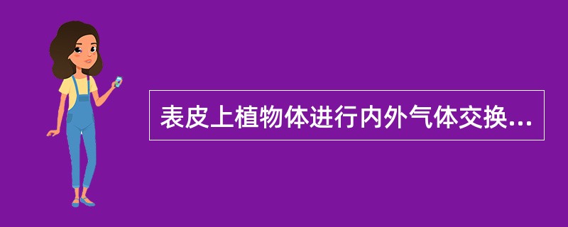 表皮上植物体进行内外气体交换的通道是（）。