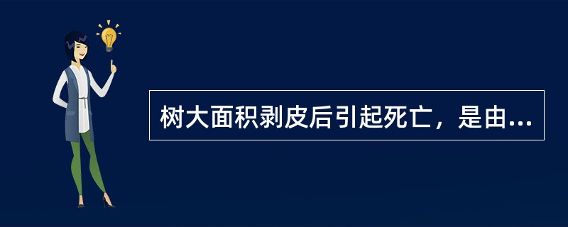 树大面积剥皮后引起死亡，是由于树皮中包含有（）