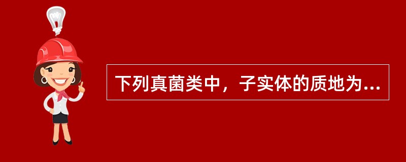 下列真菌类中，子实体的质地为肉质的是（）。