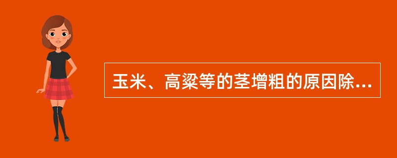 玉米、高粱等的茎增粗的原因除初生组织细胞长大外，还因为（）。