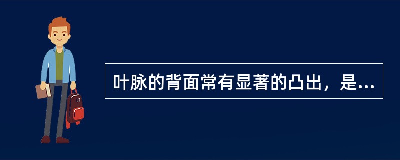 叶脉的背面常有显著的凸出，是因为此处具有发达的（）。