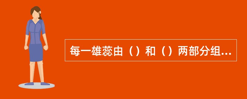 每一雄蕊由（）和（）两部分组成，每一雌蕊由（）、（）和（）三部分组成。