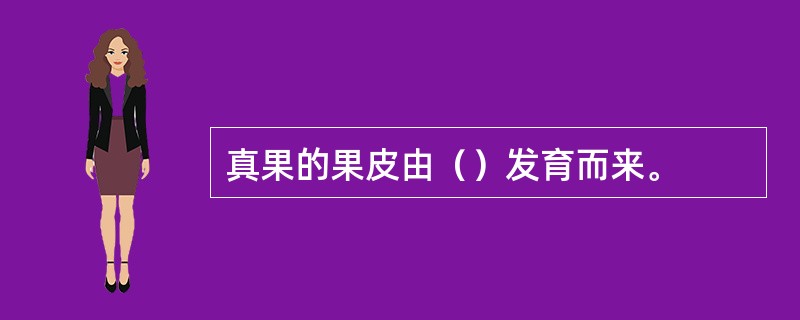 真果的果皮由（）发育而来。