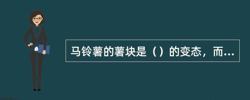 马铃薯的薯块是（）的变态，而甘薯（红薯）的地下膨大部分是（）的变态。