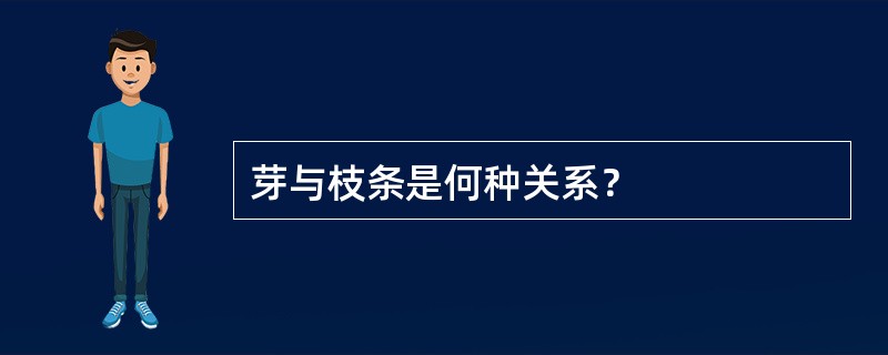 芽与枝条是何种关系？