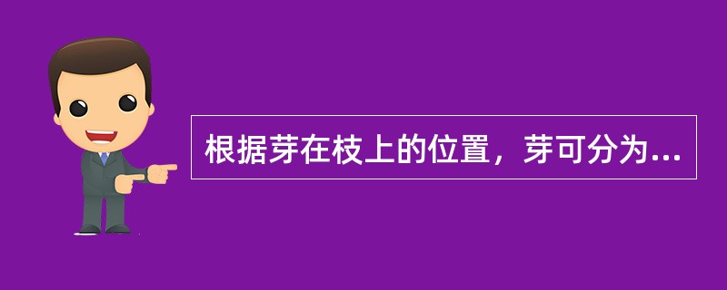 根据芽在枝上的位置，芽可分为（）（包括（）和（））和（），根据芽鳞的有无，芽可分