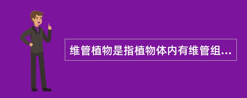 维管植物是指植物体内有维管组织的植物，以下属于维管植物的有（）。