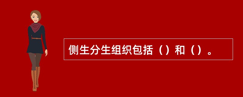 侧生分生组织包括（）和（）。