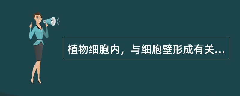 植物细胞内，与细胞壁形成有关的细胞器有（）。