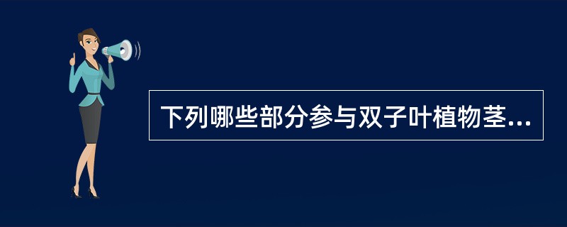 下列哪些部分参与双子叶植物茎的次生木质部的形成？（）