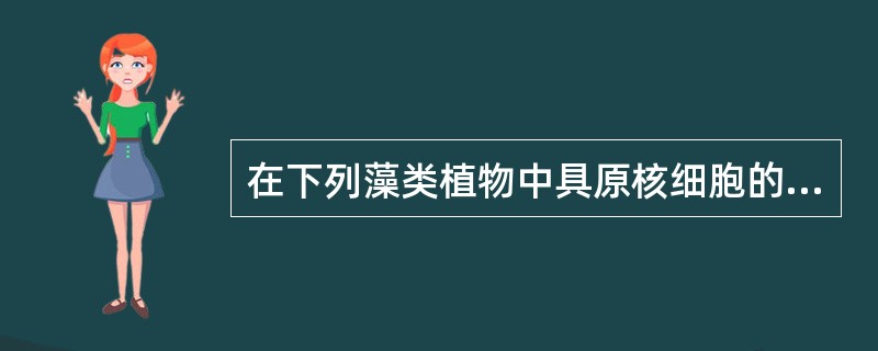 在下列藻类植物中具原核细胞的植物是（）