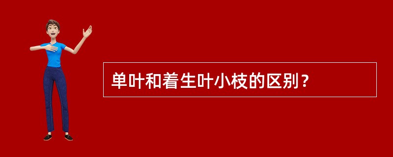 单叶和着生叶小枝的区别？