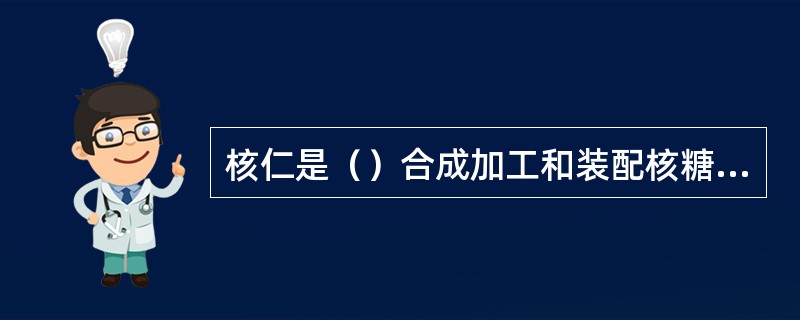 核仁是（）合成加工和装配核糖体亚单位的重要场所。