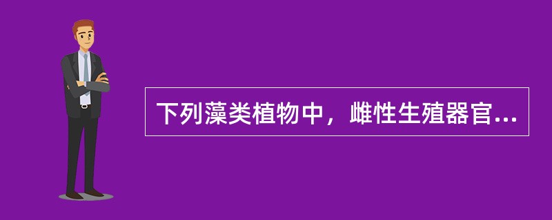 下列藻类植物中，雌性生殖器官具不孕性细胞的是（）。