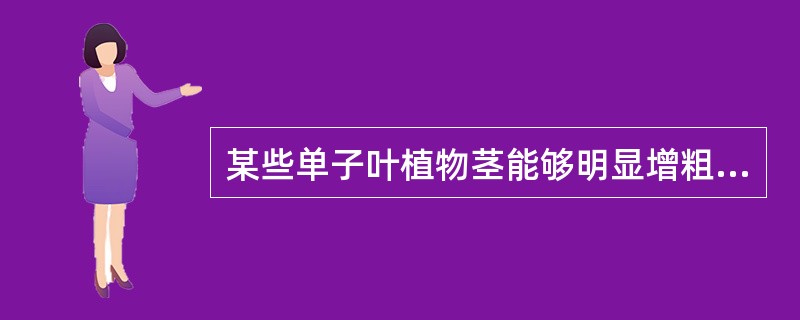 某些单子叶植物茎能够明显增粗，主要是由于叶原基和幼叶下面的（）活动的结果。单子叶