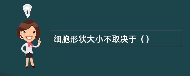 细胞形状大小不取决于（）