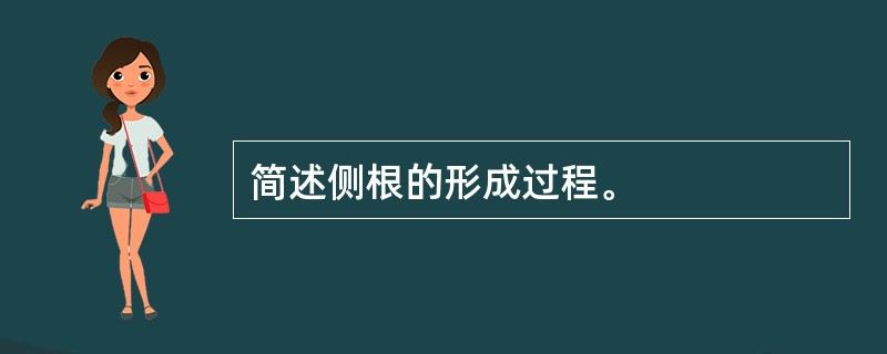 简述侧根的形成过程。