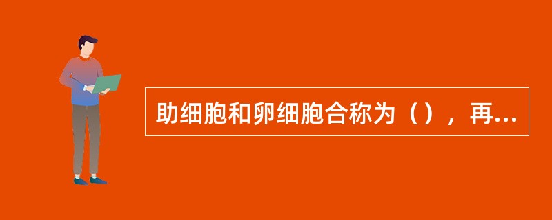 助细胞和卵细胞合称为（），再加上中央细胞和反足细胞，它们共同构成的结构称（）